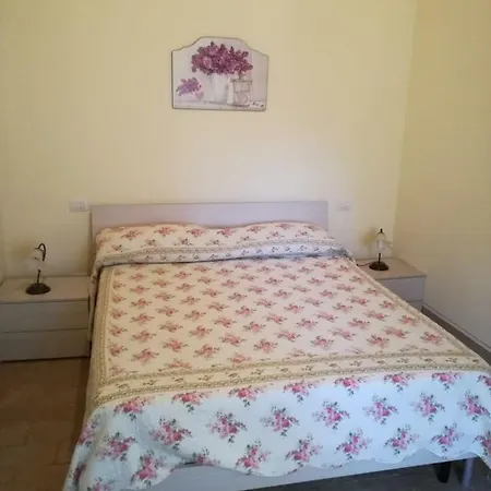 Casa Camassei 贝瓦尼亚