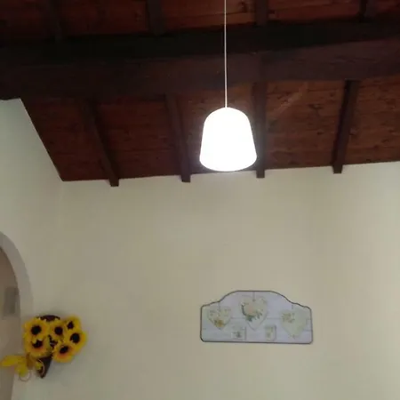 Casa Camassei * 贝瓦尼亚